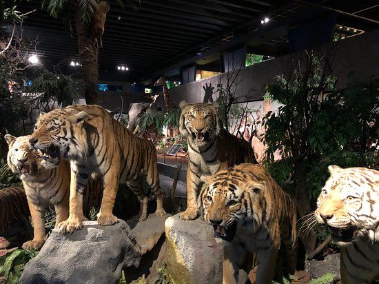 Muséum d'Histoire Naturelle